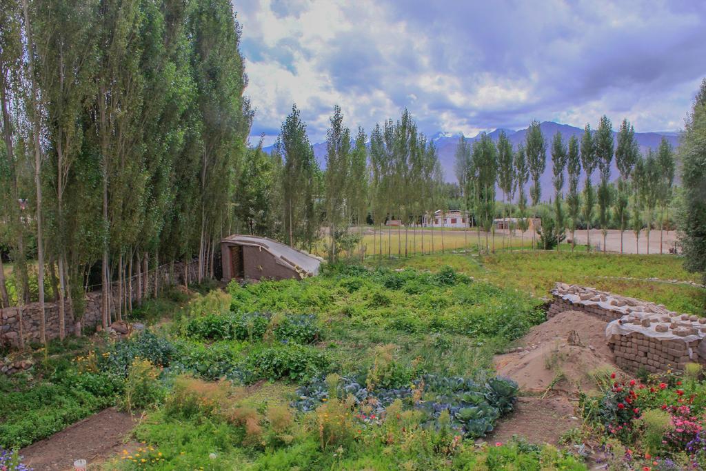 Tsetan Guest House Leh Buitenkant foto