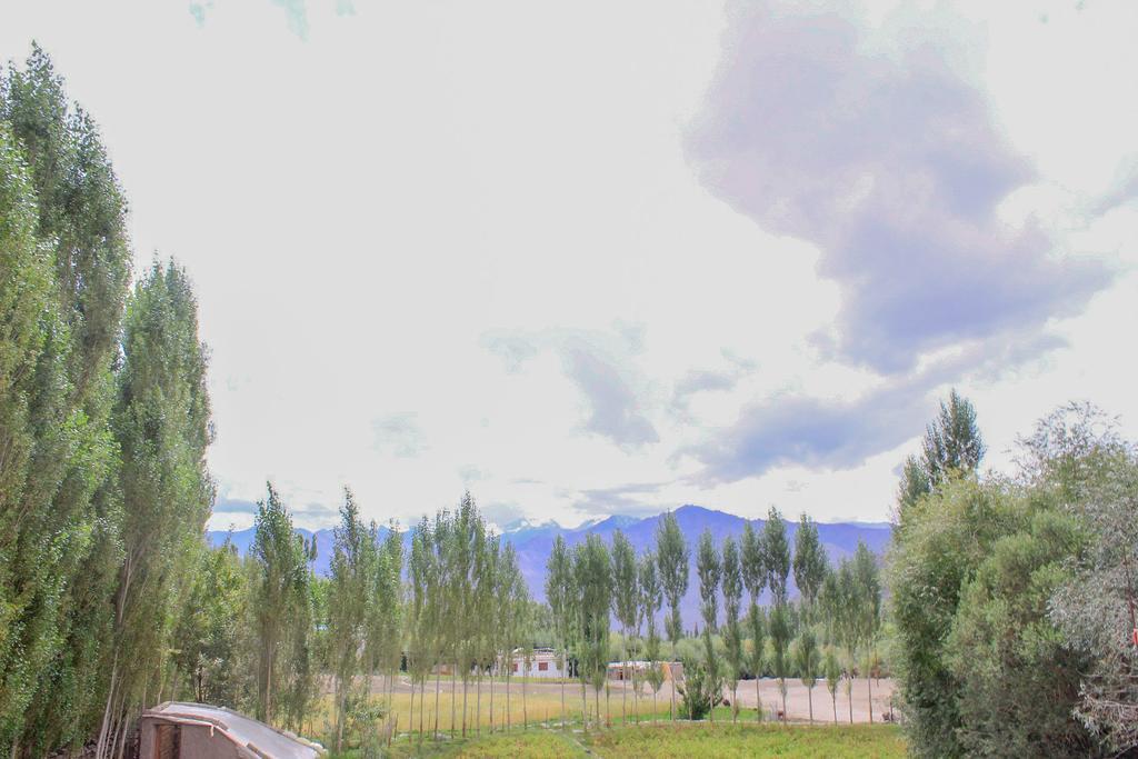 Tsetan Guest House Leh Buitenkant foto